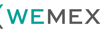 Wemex Healthcare Systems  Corporation