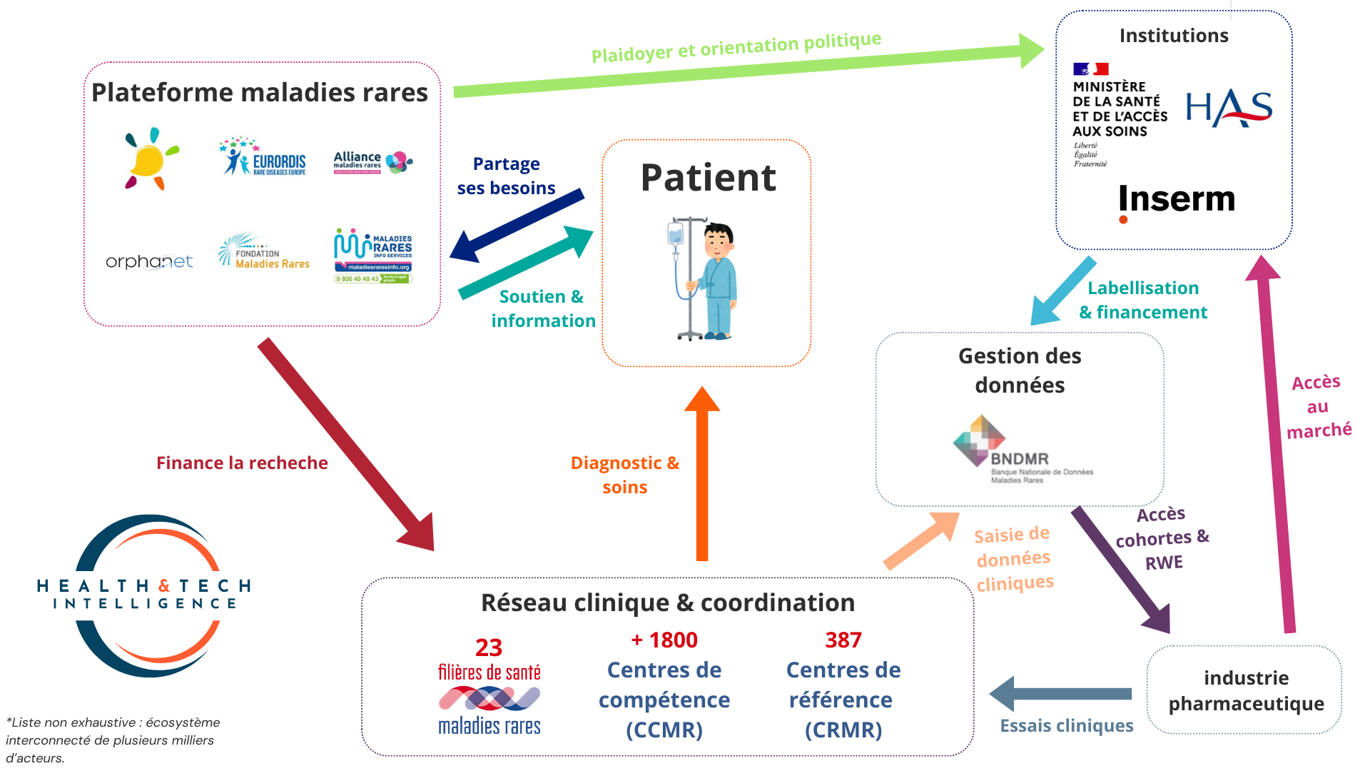 Interactions dans l'écosystème français des maladies rares - @H&TI