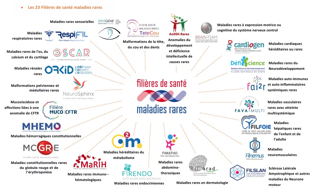 Cartographie des 23 filières de santé maladies rares - @Health&Tech Intelligence
