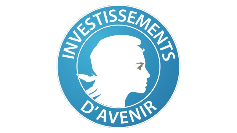 Comité de surveillance des investissements d&rsquo;avenir